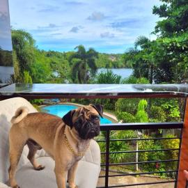 Riverduplex - Luxury duplex at a fair price, khách sạn ở Dauis