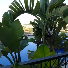 Apartment Regal Gardens 1- B105, מלון בTersephanou