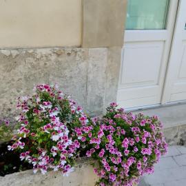 Casa Vacanze A Truatura