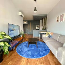 Spacious and New House Taksim