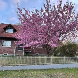 Vacation apartment between Berlin and Potsdam, 60 Quadratmeter mit glasfaser und Netflix, hotel em Brieselang