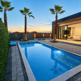 Lakeside Palms