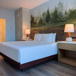 Radisson Hotel Trinidad, ξενοδοχείο στο Πορτ-οφ-Σπέιν