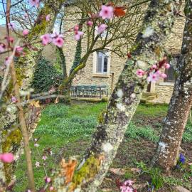 200yr Farmhouse, Fenced Garden & Kids Room, Hotel in Vresse-sur-Semois