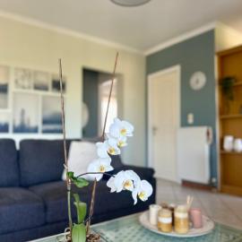 Angeliki's Apartment, hotel a Vraná