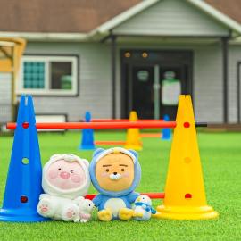 Gapyeong Dangdangi Pet Pension Green โรงแรมในคาพยอง