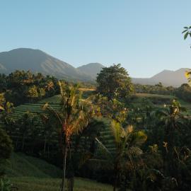 Saridevi Ecolodge, hotel di Jatiluwih