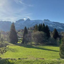 Le vieux chalet, hotel v destinácii La Forclaz