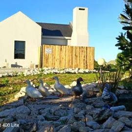 Silver Oaks Peace of Heaven, hotel a Langebaan