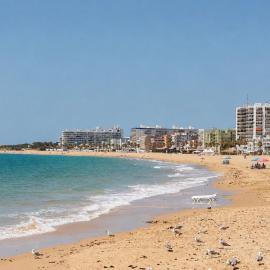 Los Girasoles, your ideal getaway - Los Girasoles, tu escapada ideal