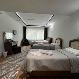 Nora Palace Hotel, hotel in Develi