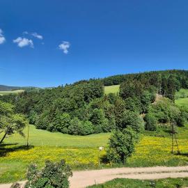 Large house with garden and terrace in Lapoutroie