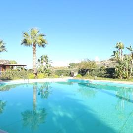 Relax pool oasis