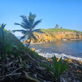 Casa Bali Tropical Escape, hotel u gradu Vega Alta
