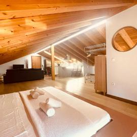 Serene Luxury Loft, Near Airport, Free Parking