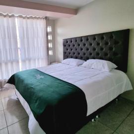 Hotel Patxy, hotell i Concepción
