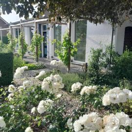 Thorn BenB, hotel in Thorn