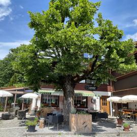 Gasthof Tenne - Ferie mit Härz, hotell sihtkohas Lenk