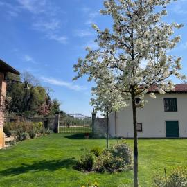 Il Rustico di Corte Palù