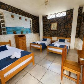 Penguin Hostel