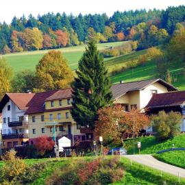 Hotel Gasthof Zur Krone, hótel í Beerfelden