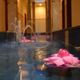Aranya, hotel Tandzsávúrban