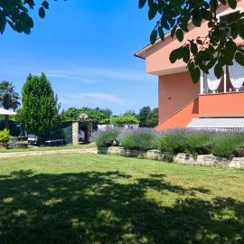 Apartments Davor