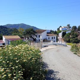 La Encina