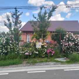 Garsoniera 20m2 anexată la casa proprietarului, hotel em Botoşani
