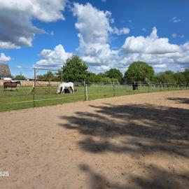 Ferienwohnung Mary s Farm Pferde willkommen, hotel in Ferdinandshof