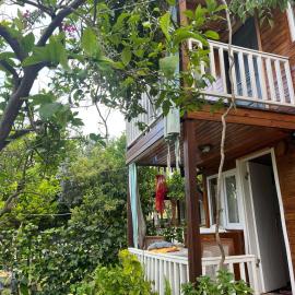 Naz Apartlari Cirali