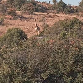Aloe Grove Guest Farm