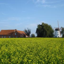 Brouckmolen, hotel in Alveringem