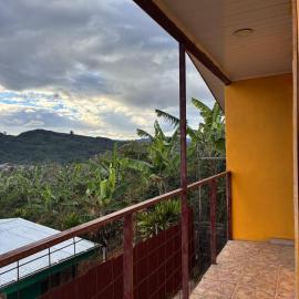 Golden Jungle Hideaway, hotel in Salado