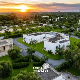 Oasi Degli Ulivi, hotel a Carovigno