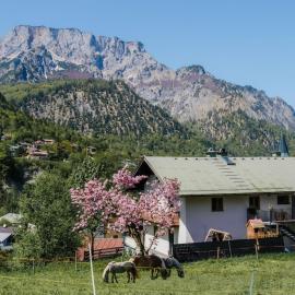 Haus Schiller, Hotel in Marktschellenberg