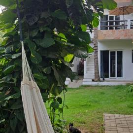 Casa Mango Jardin、サン・フランシスコのホテル