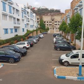 Lilia al jabal