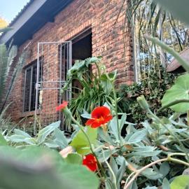 Modimolle में, होटल Gorgeous Gecko Guesthouse