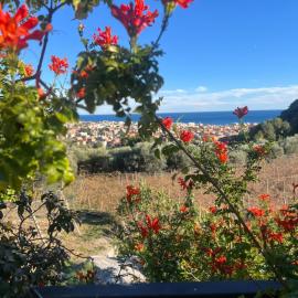 Enjoy the stunning views in Muzazzi, our Riviera Home, hotel in Pietra Ligure