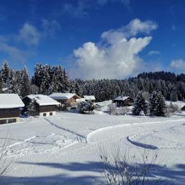 Le Studio du Plateau - Praz de Lys, calme et au centre, hôtel à Taninges