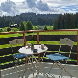 Le Studio du Plateau - Praz de Lys, calme et au centre, hotel em Taninges