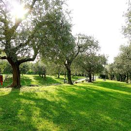 Al Vajo, hotel u gradu Lazise