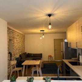 Apartment in the center of Grenoble - mountain view
