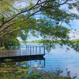 River Tree Bolgoda: Panadura şehrinde bir otel