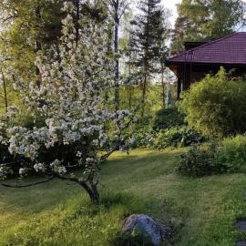 Historic Lakeside Villa near Helsinki, khách sạn ở Sipoo