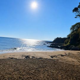 The Lodge, Whitethorns, Myrtleville