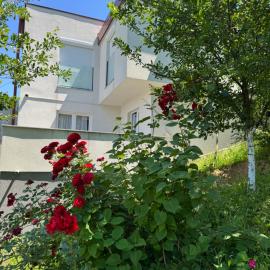 Villa Sunny Alley - Sunčani Sokak, hotell i Sarajevo