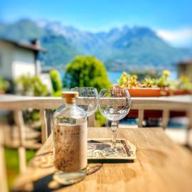 Gin apartment Lake Como
