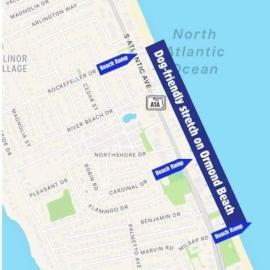 Steps to Private Beach Access King Beds